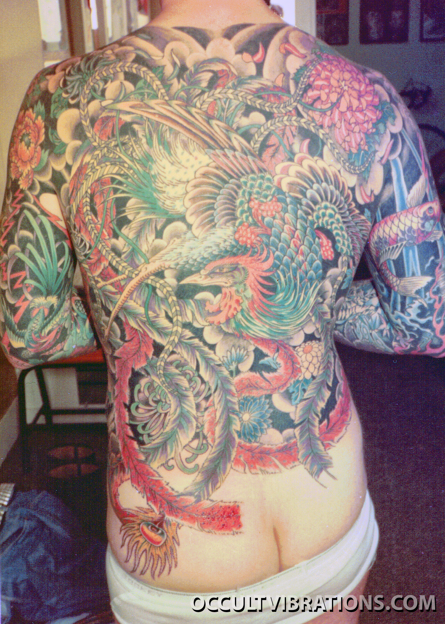 Jeff hardy dragon tattooTikTok Search